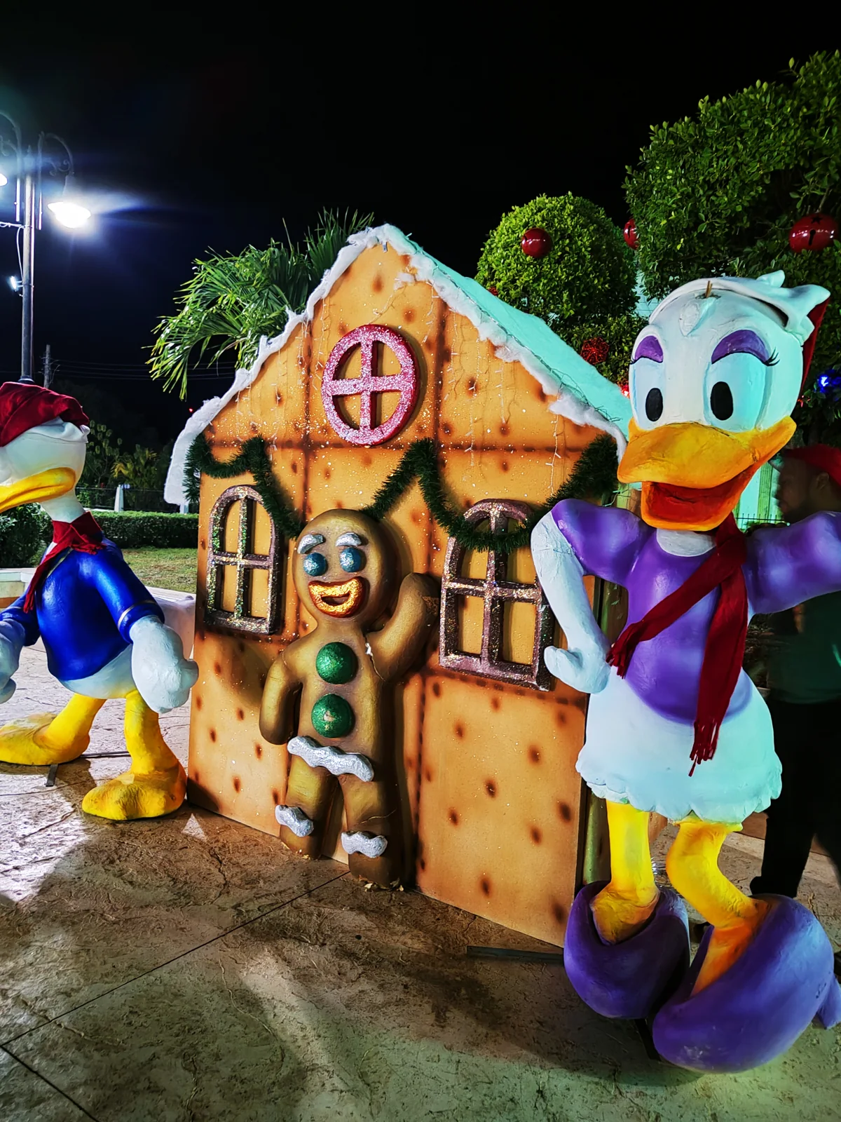 Proyecto de Navidad, vista 2